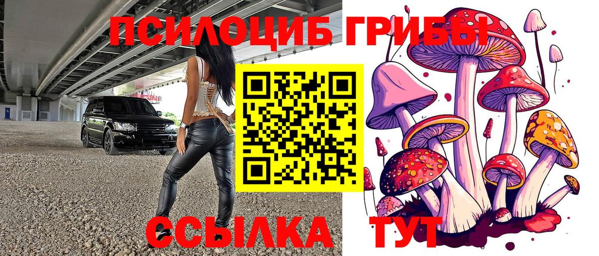 где продают   Псилоцибиновые грибы GOLDEN TEACHER  Вход с VPN  Раменское 